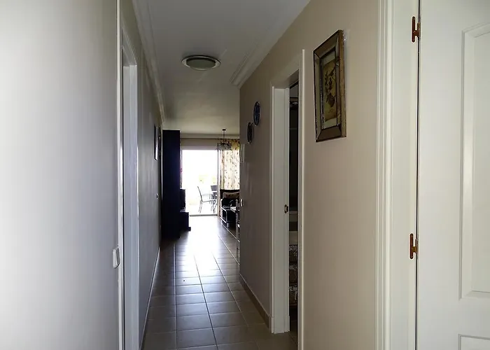 Frailes Puerto de la Cruz (Tenerife)